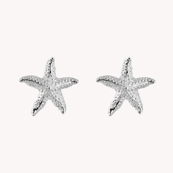 Broquel Estrella Mar PB043
